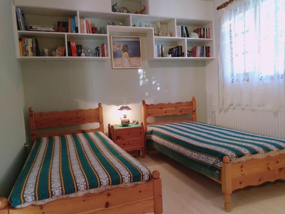 Explore Aegina Island Souvala Zewnętrze zdjęcie