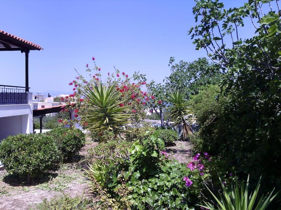 Explore Aegina Island Souvala Zewnętrze zdjęcie